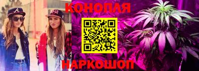 альфа пвп Гатчина