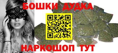 ALPHA PVP Гай