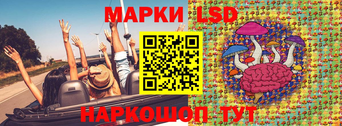 Альфа ПВП Надым